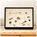 Cornice Espositiva Fai-da-te Per Conchiglie - Cornice Quadrata Vuota Da 20 Cm Per Fiori Secchi E Esposizione Di Campioni Black - Foto miniatura 2
