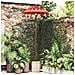 Parasol con Base Rosso e Marrone 250 cm Cotone e Legno - Foto miniatura 2