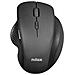 Nxmowi3001 Mouse Ergonomico Wireless Ottico 3.200 Dpi 6 Tasti Black - Foto miniatura 1
