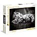 : Puzzle 1000 Pz - High Quality Collection - Kitty - Foto miniatura 1