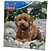 Calendario Dell'avvento Natalizio Per Cani - Trixie - Foto miniatura 1