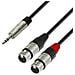 K4 Ywff 0300 - Cavo Audio Rean 3, Con Jack Stereo Da 5 Mm Su 1 Connettore Xlr Maschio E 2 Connettore Xlr Femmina, 3 M - Foto miniatura 1