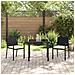 Set da Pranzo per Giardino 3 pcs Nero Poly Rattan - Foto miniatura 4