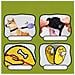 Patch Per Guinzaglio Per Animali Domestici ""no Photography"" - Etichetta Di Avvertimento A Strappo Per Collari Per Cani - Foto miniatura 3