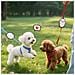 Patch Per Guinzaglio Per Animali Domestici ""no Photography"" - Etichetta Di Avvertimento A Strappo Per Collari Per Cani - Foto miniatura 4