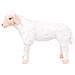 Pecora in Peluche in Piedi Bianca XXL - Foto miniatura 3