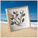 Cornice A Giorno Quadrata In Legno Naturale - Perfetta Per Composizioni Fai Da Te Con Fiori Secchi E Piante  8 Pollici - Foto miniatura 5
