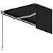 Tenda da Sole Retrattile Automatica con Parasole 5x3m Antracite - Foto miniatura 3