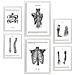 Set Di 6 Stampe Anatomia Muscoli, Gamba, Braccio, Colonna Vertebrale, Bacino Perfetto Per Decorare Studi O Studi Medici A3 & A4 Cornice Nera - Foto miniatura 1