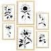 Set Di 6 Stampe Stampe Floreali Luminose E Botaniche Con Motivi Floreali Nei Classici Bianco E Nero A3 & A4 Telaio In Legno Chiaro - Foto miniatura 1