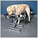 Supporto Regolabile Ciotola Per Cane 5,6 L 24 Cm 24922 - Foto miniatura 4