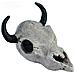 Buffalo Skull Carcassa Buffalo Per Rettili Marvellous Decor - Foto miniatura 1