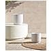 Vaso Per Piante Daria 24 Cm Bianco Sporco - Foto miniatura 1