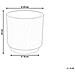 Vaso Per Piante Daria 24 Cm Bianco Sporco - Foto miniatura 6