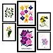 Set Di 6 Stampe Fiori Scala Cromatica Stampe Naturali E Botaniche Per L'interior Design A3 & A4 Cornice Nera - Foto miniatura 1