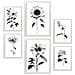 Set Di 6 Stampe Stampe Floreali Luminose E Botaniche Con Motivi Floreali In Un Classico Design D'interni In Bianco E Nero A3 & A4 Cornice Bianca - Foto miniatura 1