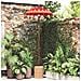 Parasol con Base Rosso, Marrone 250 cm Cotone, Legno - Foto miniatura 2