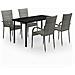 Set Mobili Da Pranzo Per Giardino 5 Pz Grigio E Nero - Foto miniatura 2
