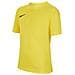 T-Shirt Dry Park Vii Jr Bv6741-719 Bambino Taglia L Colore Giallo - Foto miniatura 1