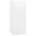 Armadietto Per Sella Bianco 53x53x140 Cm In Acciaio - Foto miniatura 5