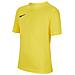 T-Shirt Dry Park Vii Jr Bv6741-719 Bambino Taglia Xl Colore Giallo - Foto miniatura 1