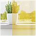 Tende in Voile con Passanti 2 pz Giallo 140x225 cm - Foto miniatura 3