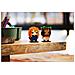 40621 Brickheadz Vaiana e Merida - Foto miniatura 3
