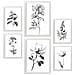 Set Di 6 Stampe Rigogliosa Natura Floreale E Stampe Botaniche Con Motivi Floreali In Un Classico Design D'interni In Bianco E Nero A3 & A4 Cornice Bianca - Foto miniatura 1