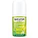 24H Deo Roll-On Limone 50 ml - Foto miniatura 1