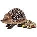 SSP Puzzle Die Tiere des Waldes 40SCH | 56239 - Foto miniatura 2