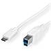 Cavo da USB-C a USB-B M / M - da 1.8m - Foto miniatura 1