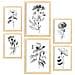 Set Di 6 Stampe Stampe Naturalistiche E Botaniche Di Blooming Flowers Con Motivi Floreali Nei Classici Colori Bianco E Nero A3 & A4 Telaio In Legno Chiaro - Foto miniatura 1
