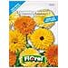 Floral Calendula Gigante Doppia In Miscuglio - Da Vaso Per Balconi - Foto miniatura 1