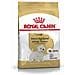 West Highland White Terrier Adult 3000g Adulto Granturco, Trinciapollo - Foto miniatura 1