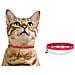 Set 2 Collare Gatto Modello Easy 1 Blu 1 Rosso Estendibile Con Sonaglio - Foto miniatura 3
