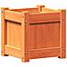 Fioriera Giardino Marrone Cera 31x31x31 Cm Legno Massello Pino - Foto miniatura 2