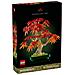 Botanicals Bonsai di acero rosso giapponese - Foto miniatura 5