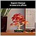 Botanicals Bonsai di acero rosso giapponese - Foto miniatura 41