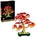 Botanicals Bonsai di acero rosso giapponese - Foto miniatura 9