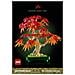 Botanicals Bonsai di acero rosso giapponese - Foto miniatura 7