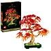 Botanicals Bonsai di acero rosso giapponese - Foto miniatura 10