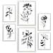 Set Di 6 Stampe Fiori In Fiore, Stampe Naturalistiche E Botaniche Con Motivi Floreali Nel Classico Design D'interni In Bianco E Nero A3 & A4 Cornice Bianca - Foto miniatura 1
