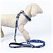 Collare Per Cani Stitch Xxs /xs Blu Scuro - Foto miniatura 7