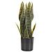Pianta Artificiale Snake Plant 40 Cm - Foto miniatura 3