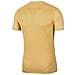 T-Shirt Dry Park Vii Jrbv6741-729 Bambino Taglia L Colore Gold - Foto miniatura 3