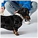 Collare Per Cani Di Sabbia - M - Foto miniatura 2