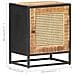 Comodino 40x30x50 Cm Legno Di Mango Grezzo E Canna Naturale - Foto miniatura 9