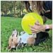 Palla Da Tennis Gigante Incrediball - - Gioco Per Cani - Diametro 24 Cm - Pompa Di Gonfiaggio Inclusa - Foto miniatura 1