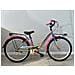 Bici Bimba Da Passeggio Misura 24 Telaio Cromatizzato Multicolore Modello Starcolor 1v Bicicletta Bambina Nuovo Modello Luci Led - Multicolore - Foto miniatura 1
