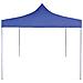 Gazebo Professionale Pieghevole 2x2 M In Acciaio Blu - Foto miniatura 2